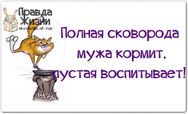 Правда жизни картинки
