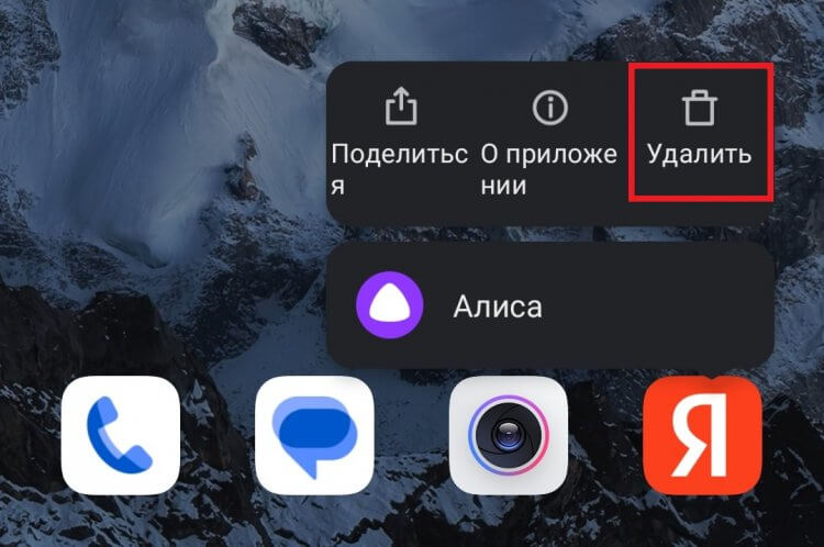 Как снять алису на телефон