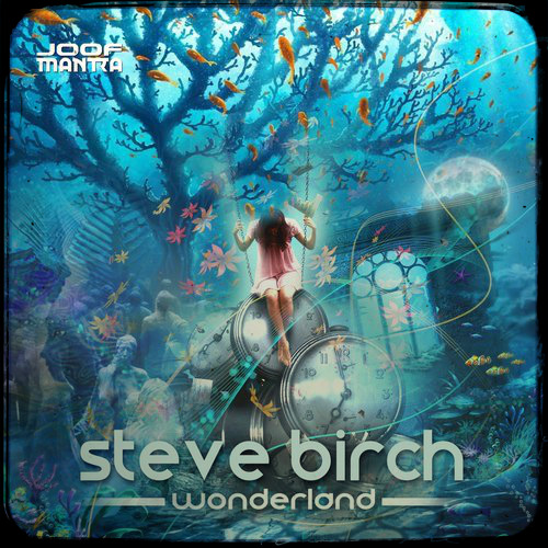 Steve Birch - Wonderland (2017)